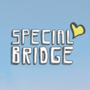 Special Bridge